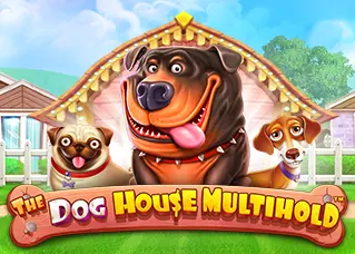 เกมส์พลัส168 The Dog House Multihold ทดลองเล่นฟรี